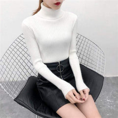 Sweater casual solid turtleneck female pullover full sleeve - saadatstore